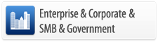 For Business (Small and Medium Size Business, Corporate, Enterprise) and Government (Local, State, Federal)